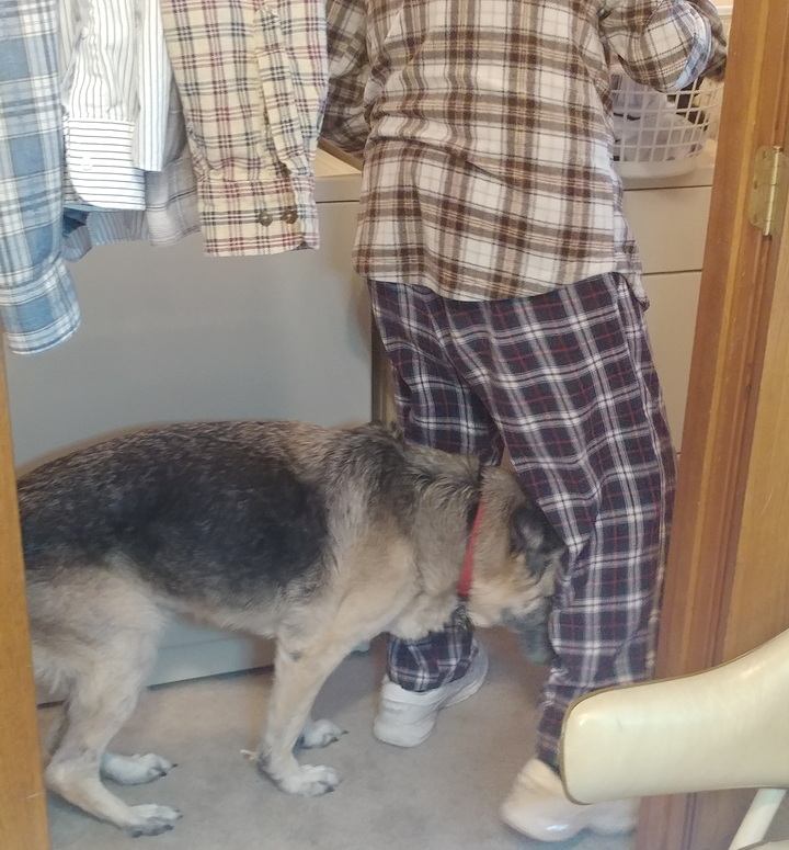 Tasha had a neurotic attachment to Dad that often drove him up the wall