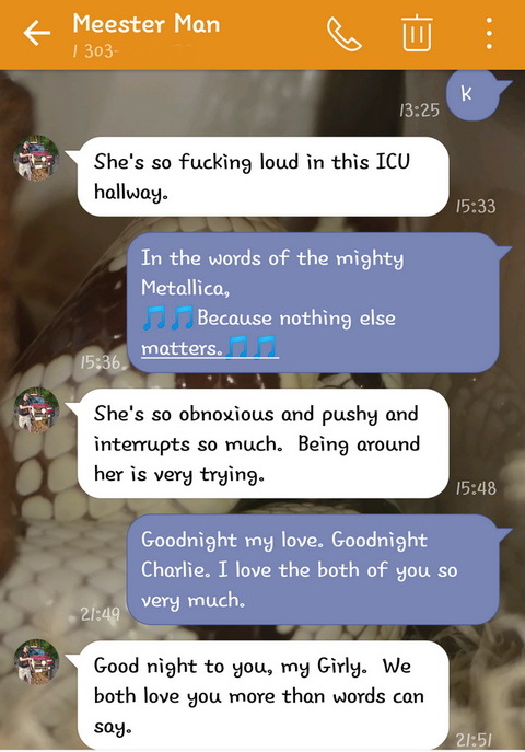 Exasperated text exchange with Lisa
