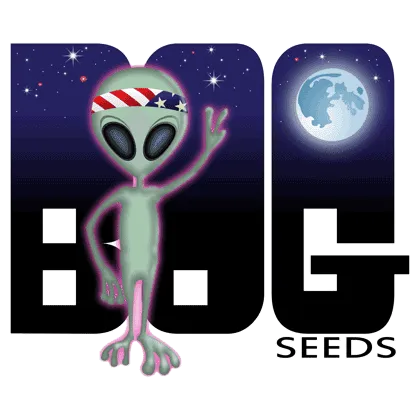 RIP, my friend BOG